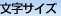 �����T�C�Y